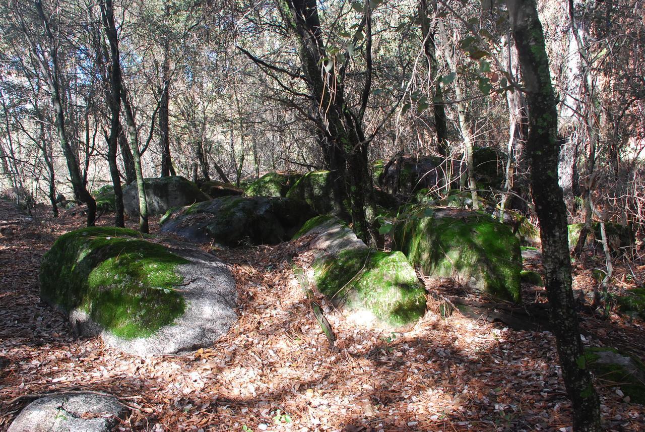 ماريبوسا Sierra Trails Inn المظهر الخارجي الصورة
