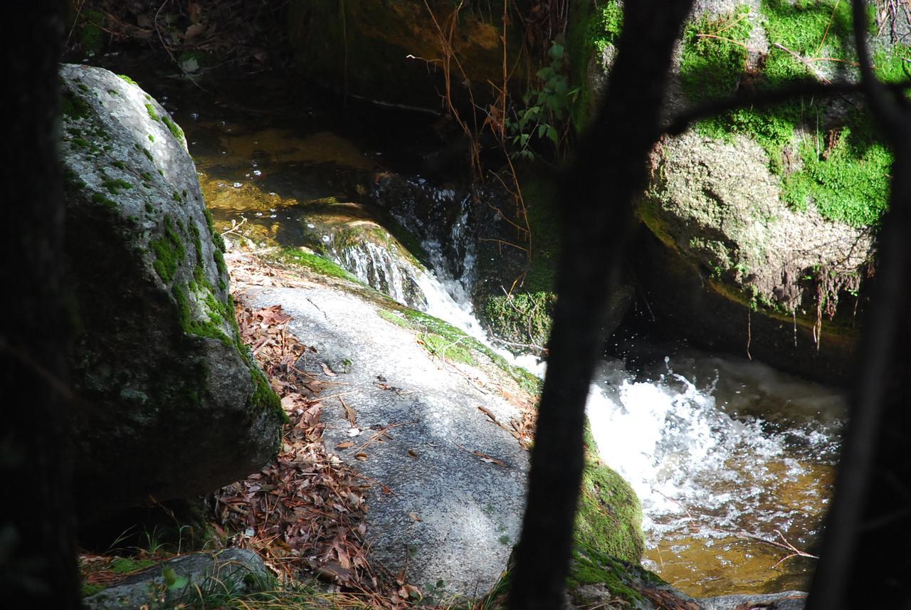 ماريبوسا Sierra Trails Inn المظهر الخارجي الصورة